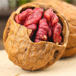 خرید نهال گردو توسرخ با قیمت مناسب [فروش ویژه نهال گردو توسرخ]